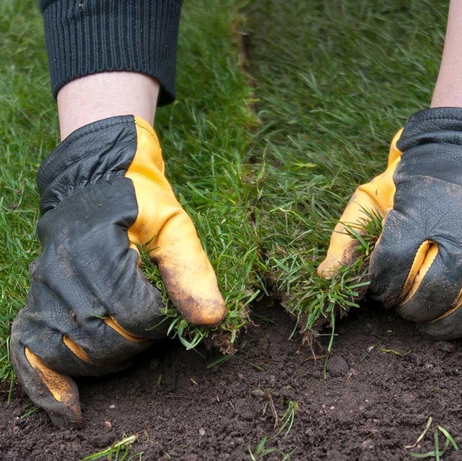 Gazonverzorging in de herfst Belangrijke tips voor een gezond gazon
