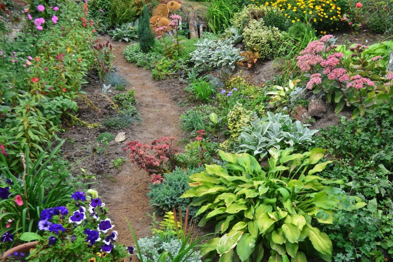 Tips voor irrigatie bij droge gazons om bruin gras snel te herstellen