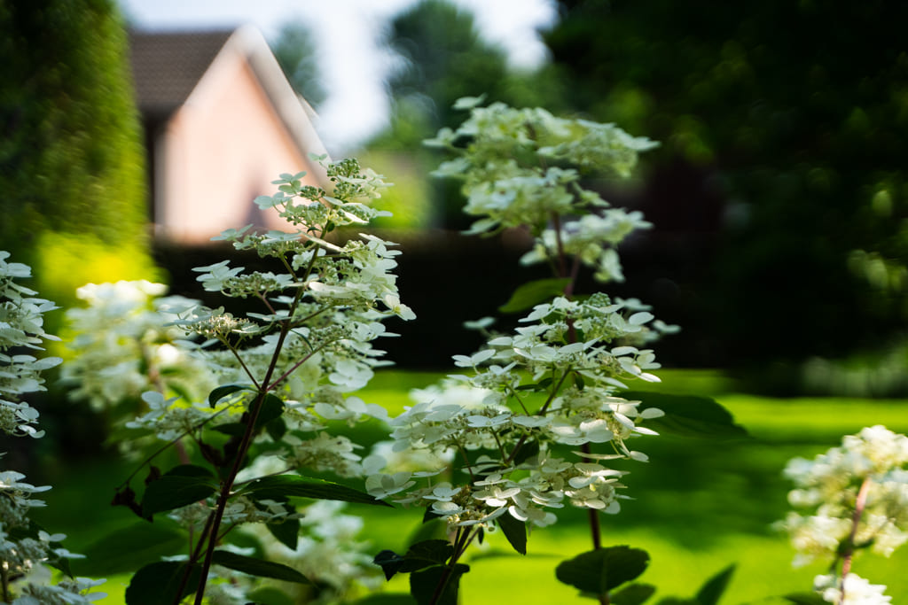 In vier stappen naar een winterklare tuin!
