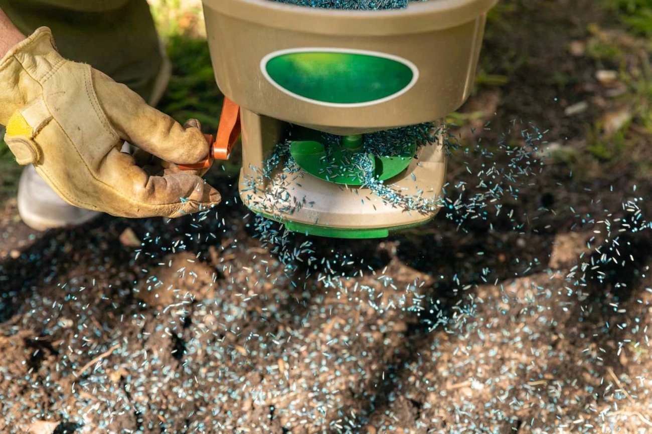 Graszoden en Bodem Geheimen voor Perfecte Groei en Worteling