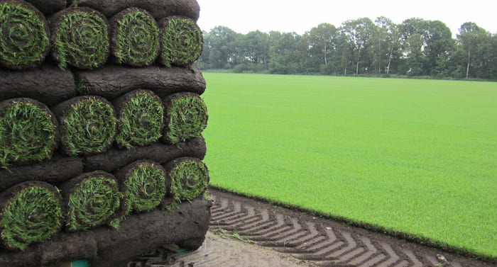 Herstel jouw gazon met deze handige tips!